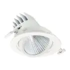 Philips LED-Spot LuxSpace Accent Performance RS781B 29.5W 3850lm 36D - 830  | 170mm - Dali Dimmbar