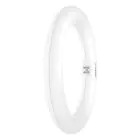 Osram Tube LED T9 Circulaire (EM/Direct 230V) 11W 1320lm - 840  | Remplacement 22W