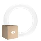 Lot 4x Ledvance Tube LED T9 Value Circulaire (EM/Direct 230V) 11W 1320lm - 840 Blanc Froid | Remplacement 22W